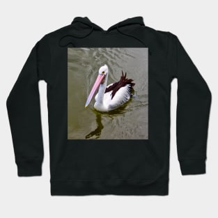 The Pelican Swims! Hoodie
